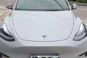 Model Y 特斯拉 Performance高性能版