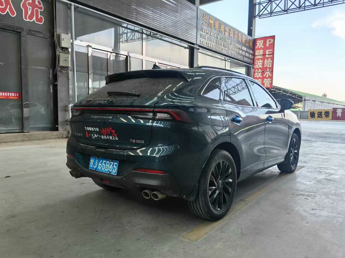 雷丁 雷丁芒果  2022款 200高配版圖片