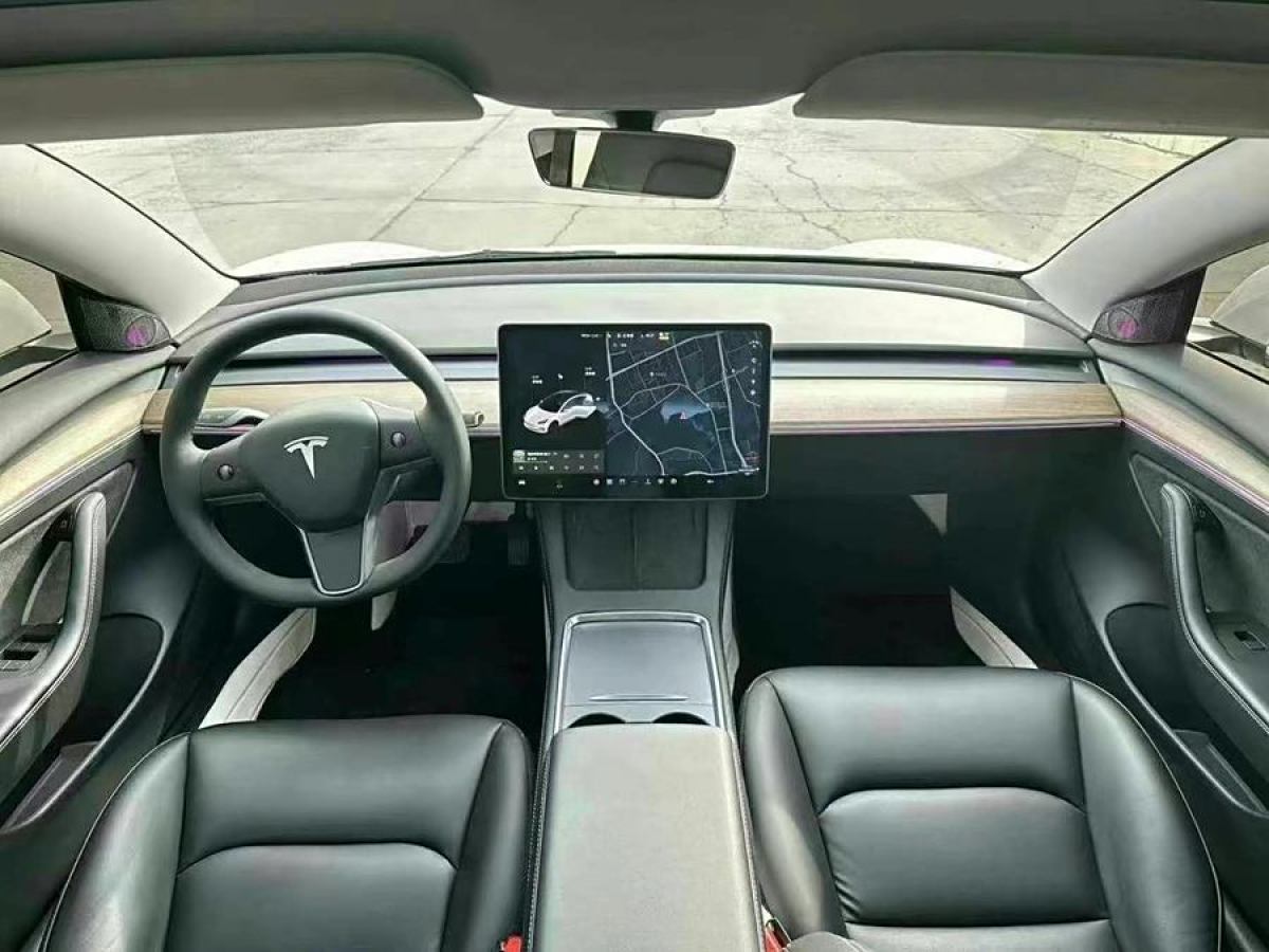 特斯拉 Model 3  2019款 標(biāo)準(zhǔn)續(xù)航后驅(qū)升級版圖片