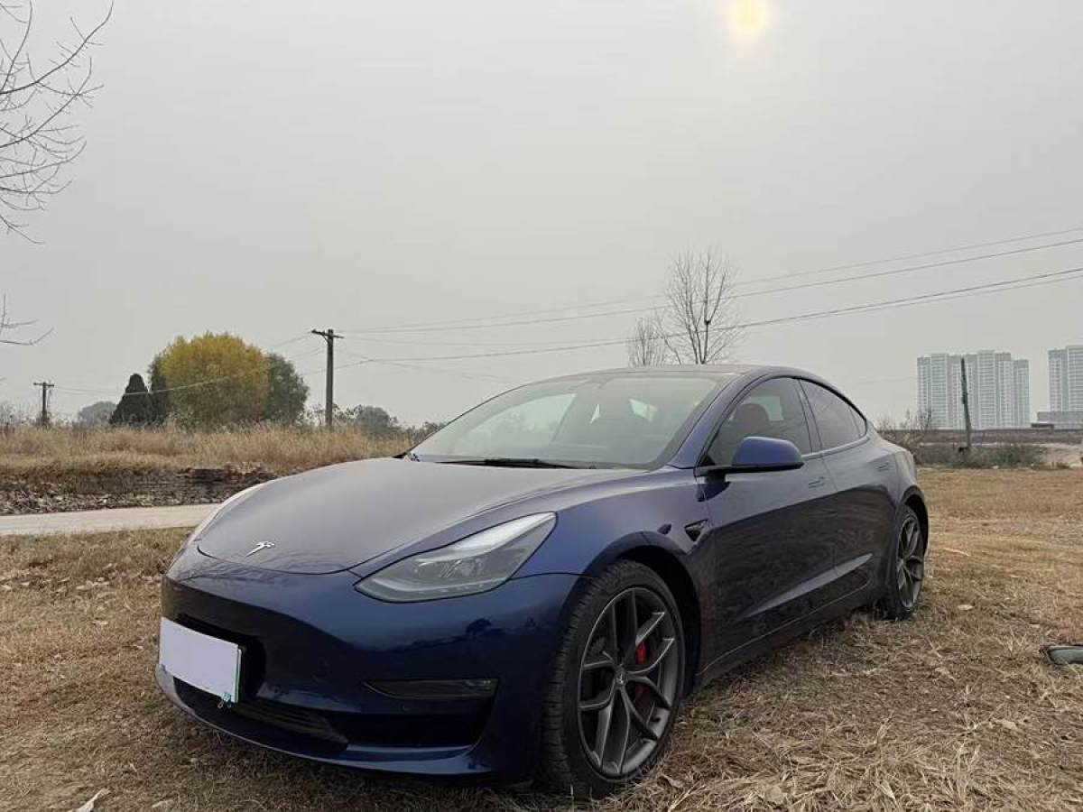 2022年10月特斯拉 Model Y  2022款 Performance高性能全輪驅(qū)動(dòng)版