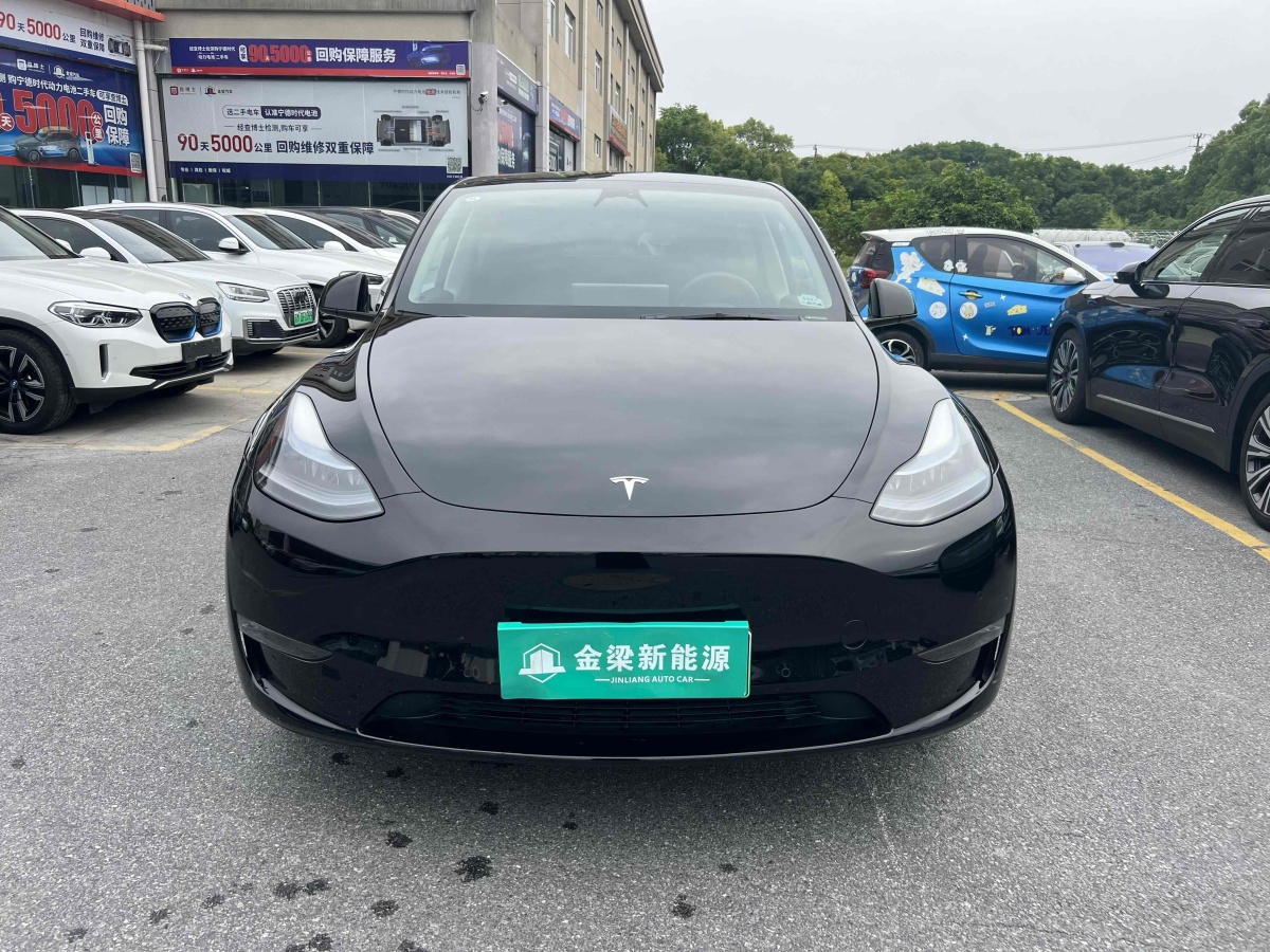特斯拉 Model Y  2023款 長(zhǎng)續(xù)航全輪驅(qū)動(dòng)版圖片