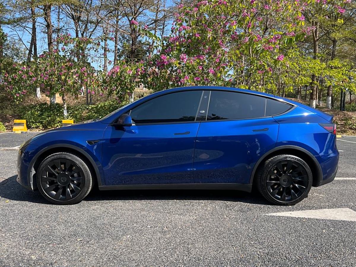 特斯拉 Model Y  2021款 改款 長續(xù)航全輪驅(qū)動(dòng)版圖片