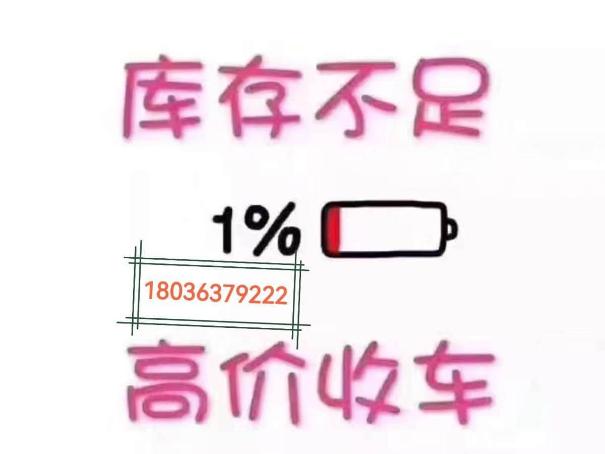 零跑 零跑C11  2024款 增程 300智駕版圖片