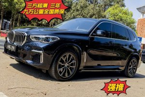 寶馬X5 寶馬 改款 xDrive 30Li 尊享型M運(yùn)動(dòng)套裝