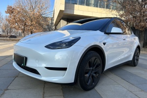 Model Y 特斯拉 后轮驱动版