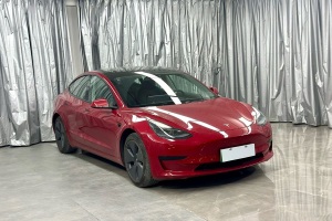 Model 3 特斯拉 改款 標(biāo)準(zhǔn)續(xù)航后驅(qū)升級(jí)版