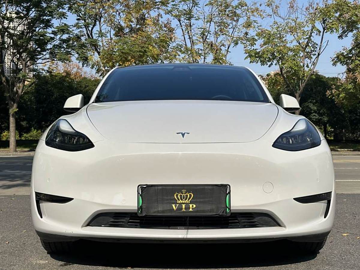 特斯拉 Model Y  2021款 改款 長續(xù)航全輪驅(qū)動版圖片