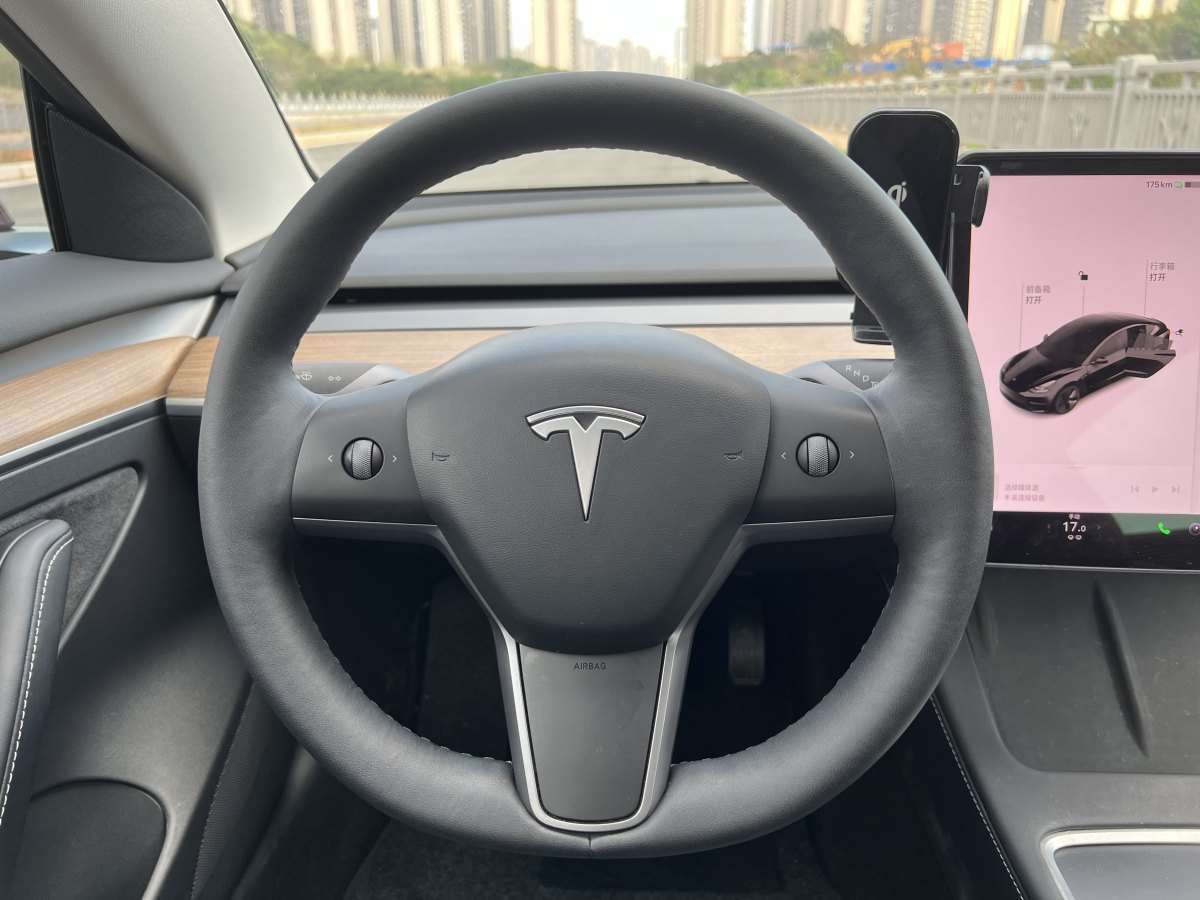 特斯拉 Model 3  2021款 標(biāo)準(zhǔn)續(xù)航后驅(qū)版圖片