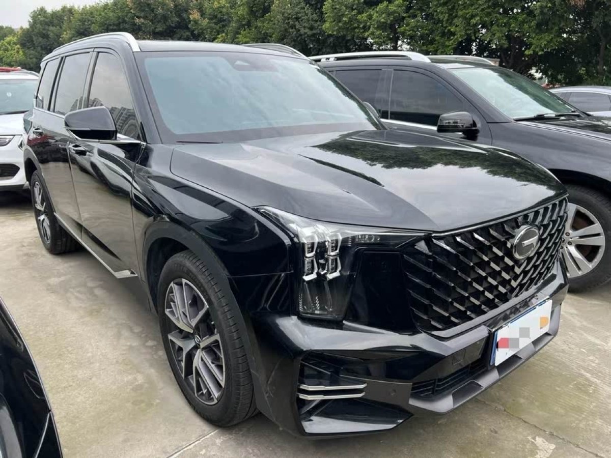 廣汽傳祺 GS8  2022款 領(lǐng)航系列 2.0TGDI 兩驅(qū)豪華智聯(lián)版（七座）圖片