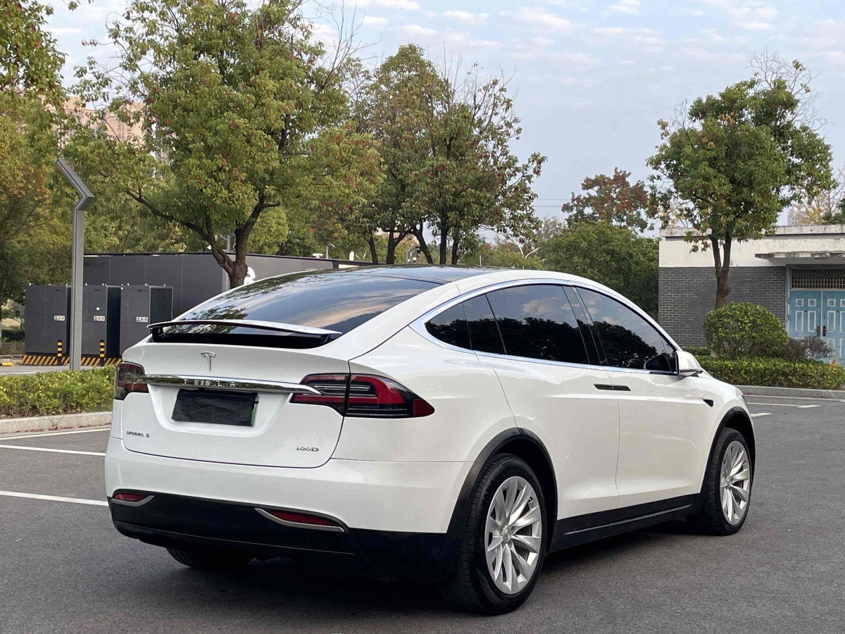 特斯拉 Model X  2017款 Model X 100D 長(zhǎng)續(xù)航版圖片