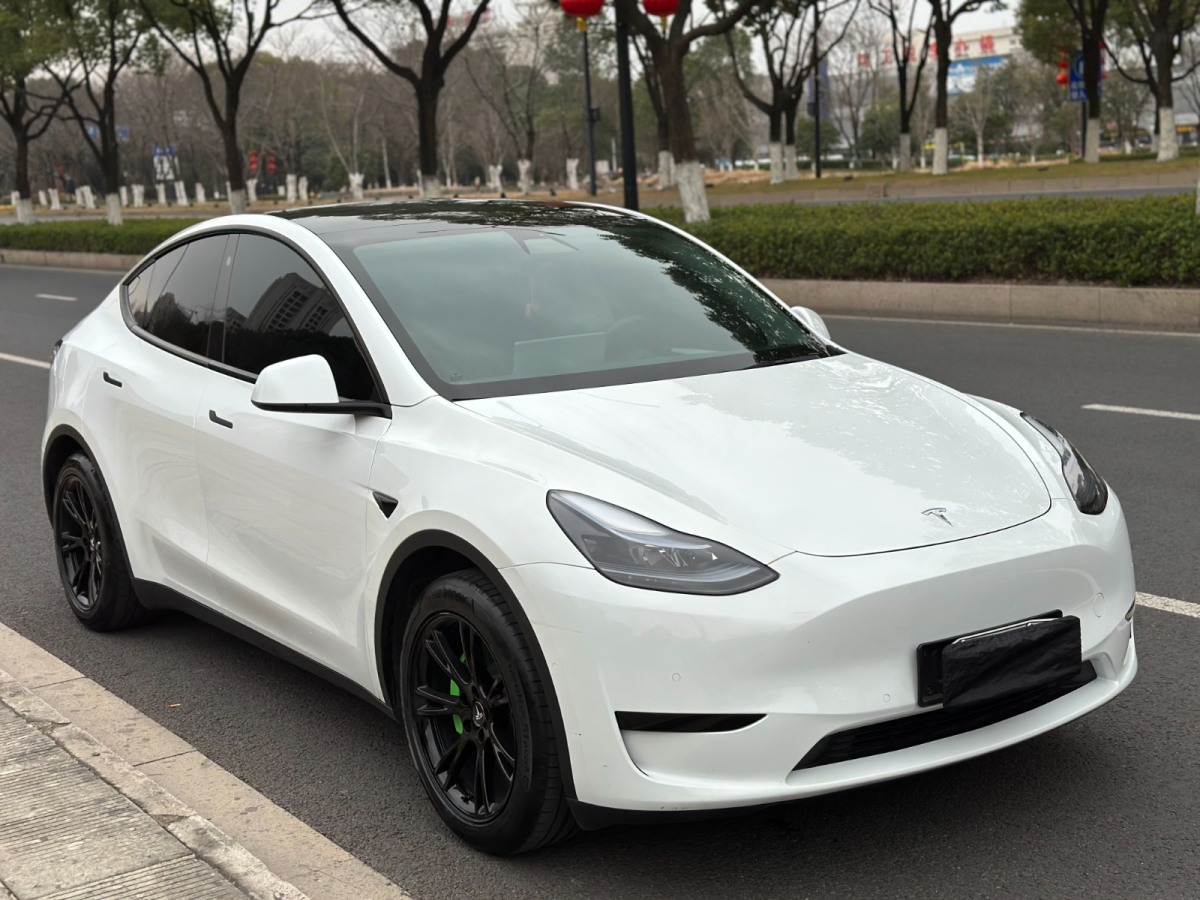 特斯拉 Model Y  2023款 后輪驅(qū)動(dòng)版圖片