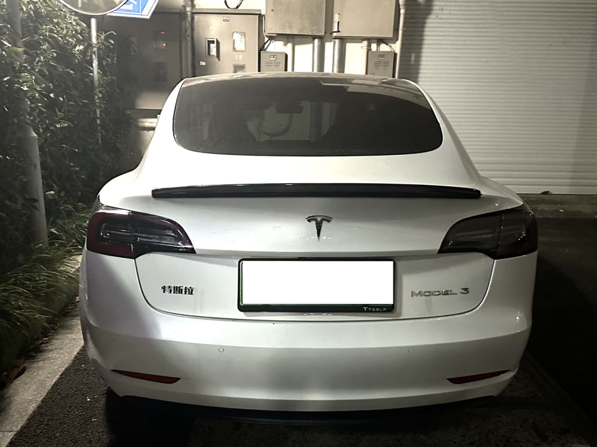 特斯拉 Model 3 2019款 標準續(xù)航后驅升級版圖片