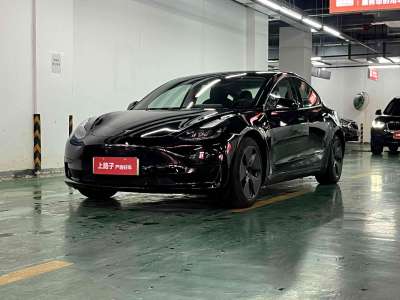 2021年6月 特斯拉 Model 3 標準續(xù)航后驅(qū)升級版圖片