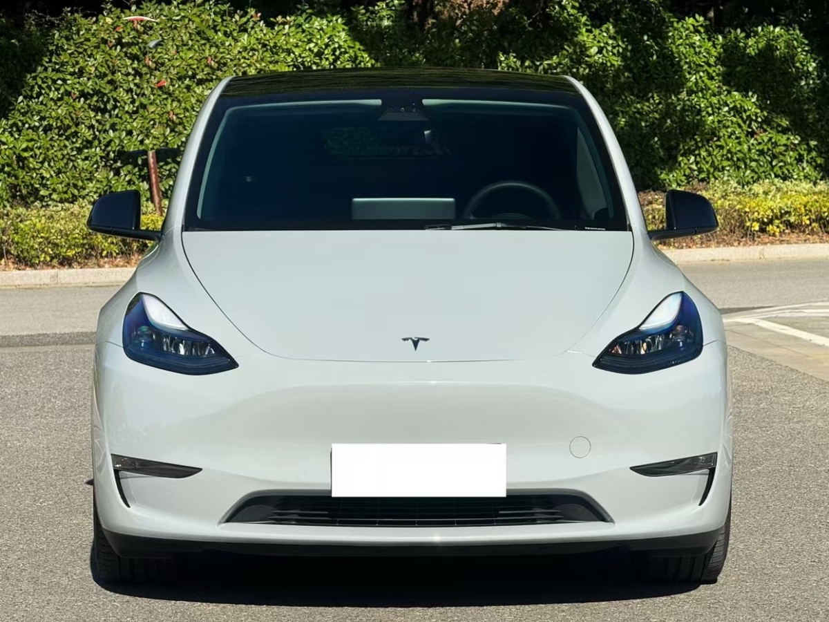 特斯拉 Model 3  2021款 Performance高性能全輪驅(qū)動版圖片