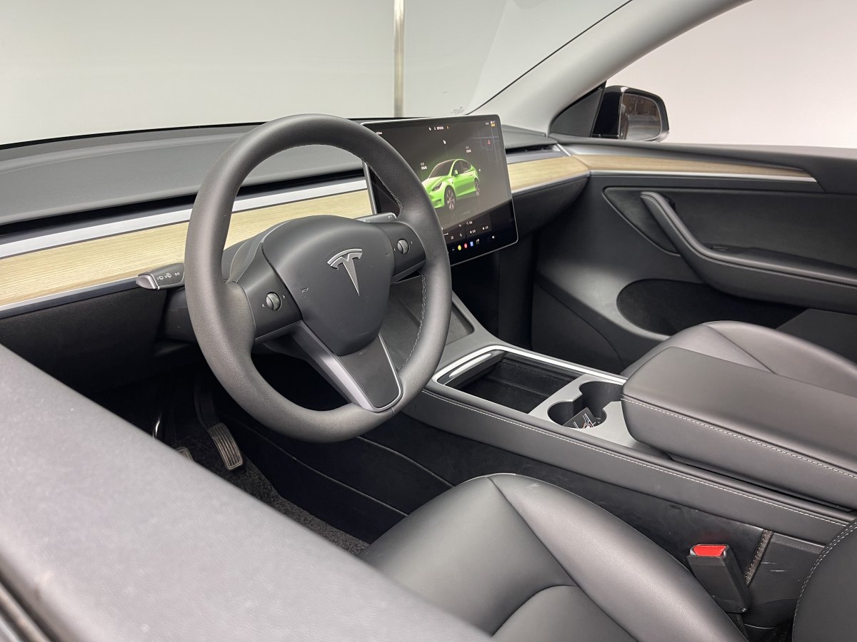 特斯拉 Model 3  2020款 改款 長(zhǎng)續(xù)航后輪驅(qū)動(dòng)版圖片