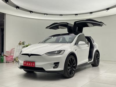 2020年7月 特斯拉 Model X 長(zhǎng)續(xù)航版圖片