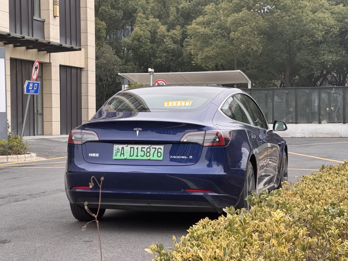 特斯拉 Model 3  2019款 標(biāo)準(zhǔn)續(xù)航后驅(qū)升級版圖片