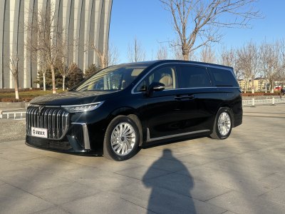 2024年1月 嵐圖 夢想家 PHEV 超長續(xù)航尊貴版圖片