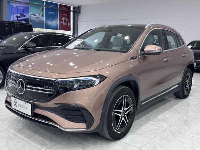 2022年1月 奔馳 奔馳EQA EQA 300 4MATIC 首發(fā)特別版圖片