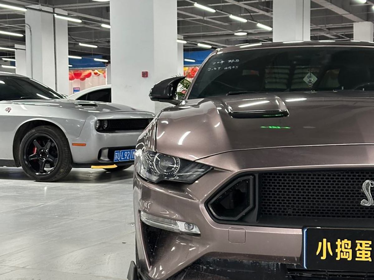 2020年3月福特 Mustang  2019款 2.3L EcoBoost