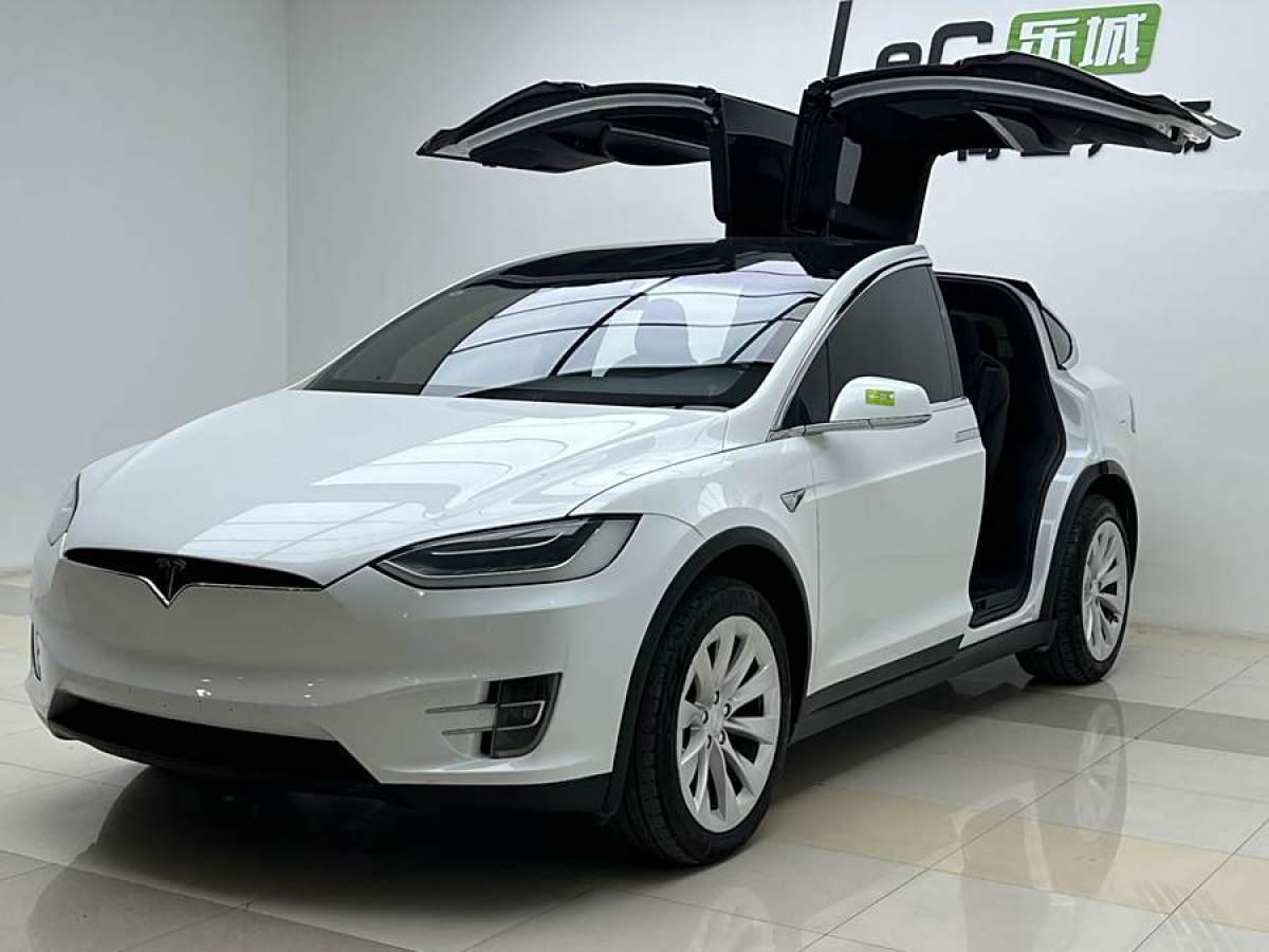 特斯拉 Model X  2019款 長(zhǎng)續(xù)航版圖片