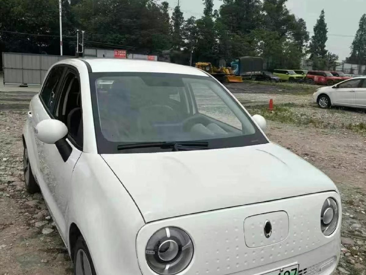 歐拉 歐拉黑貓  2019款 2019款 301km 標準版圖片
