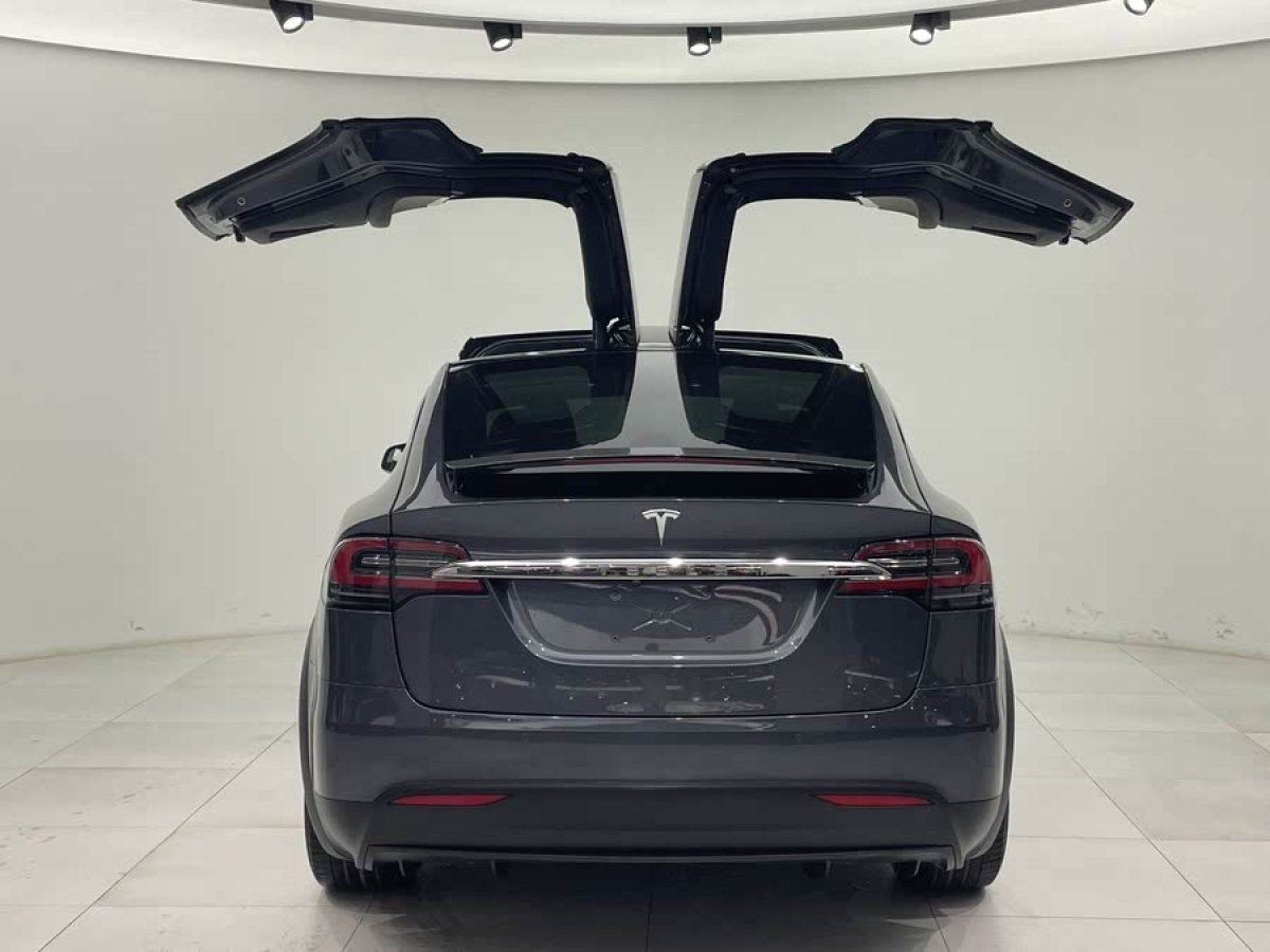 特斯拉 Model X  2016款 Model X 75D圖片