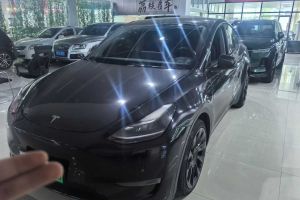 Model S 特斯拉 Performance 高性能版