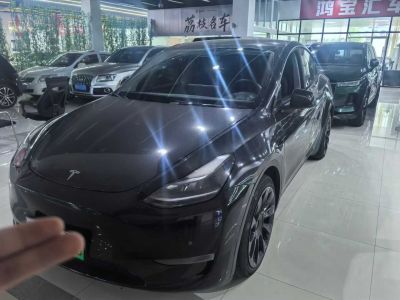 2021年1月 特斯拉 Model S Performance 高性能版圖片