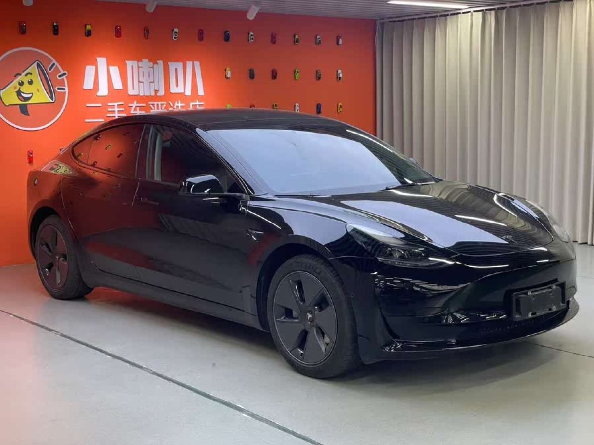 特斯拉 Model 3  2022款 后輪驅(qū)動(dòng)版圖片