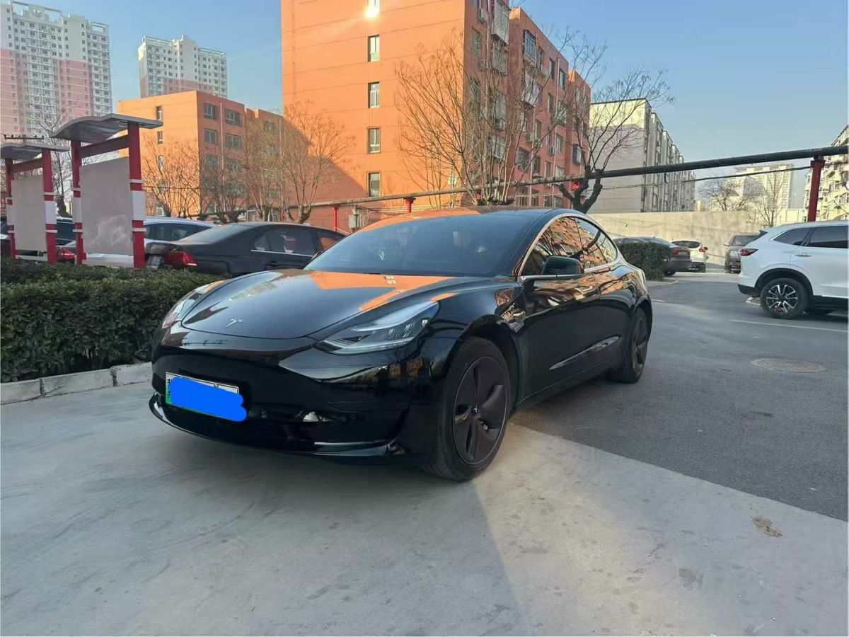 特斯拉 Model X  2020款 Performance 高性能版圖片