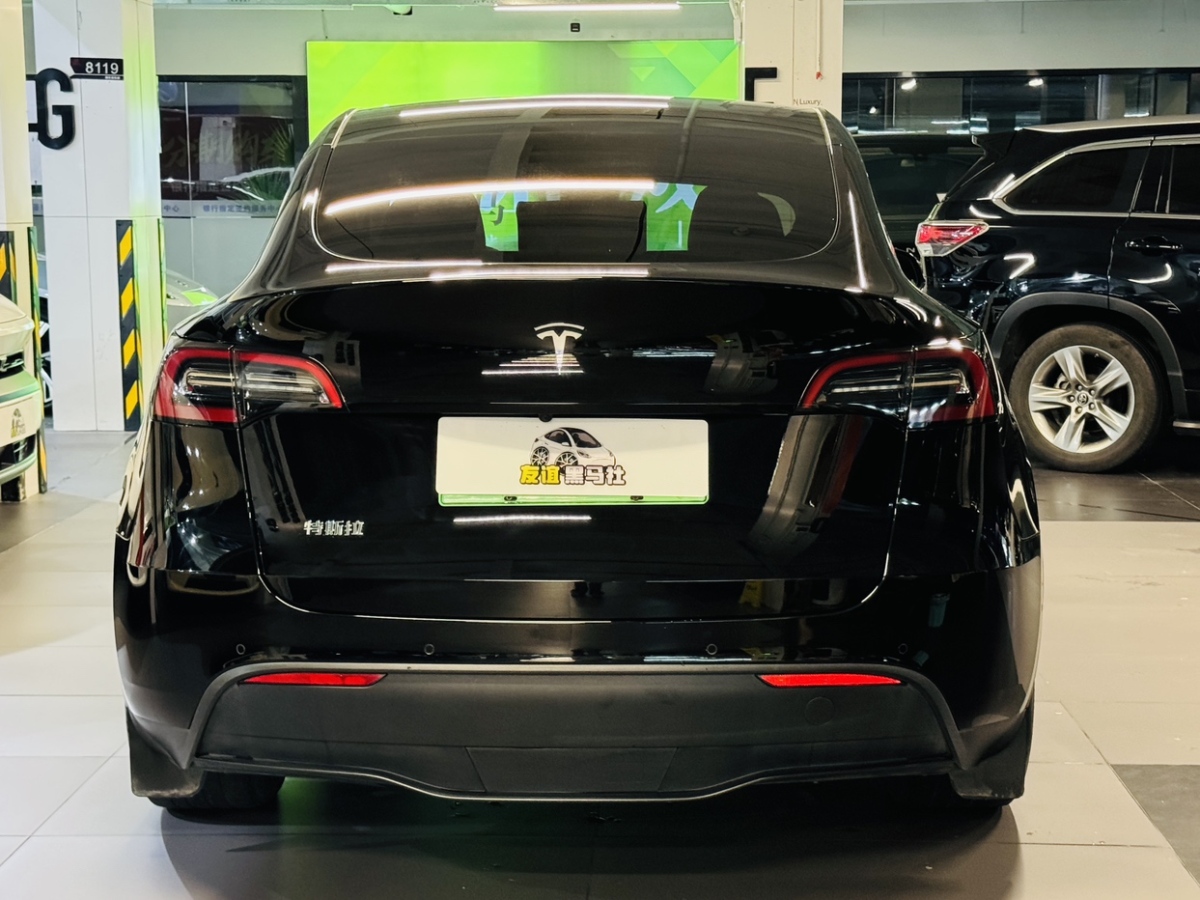 特斯拉 Model Y  2021款 標(biāo)準(zhǔn)續(xù)航后驅(qū)升級(jí)版 3D6圖片