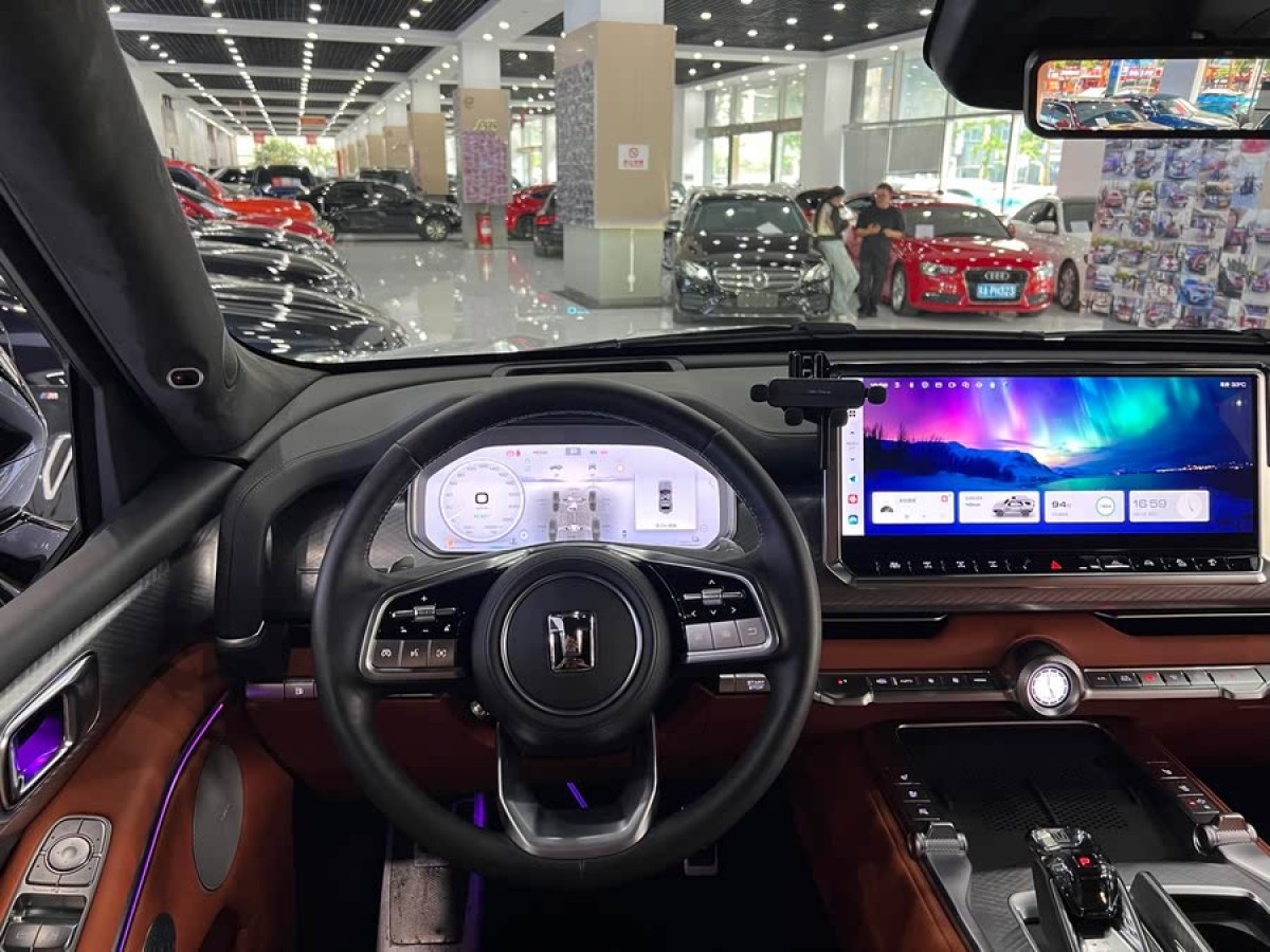 坦克 坦克700新能源  2024款 Hi4-T 極境版圖片