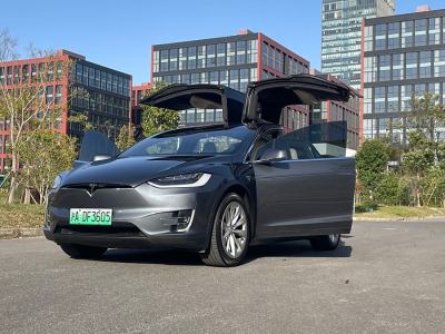 2019年10月 特斯拉 Model X 长续航版图片