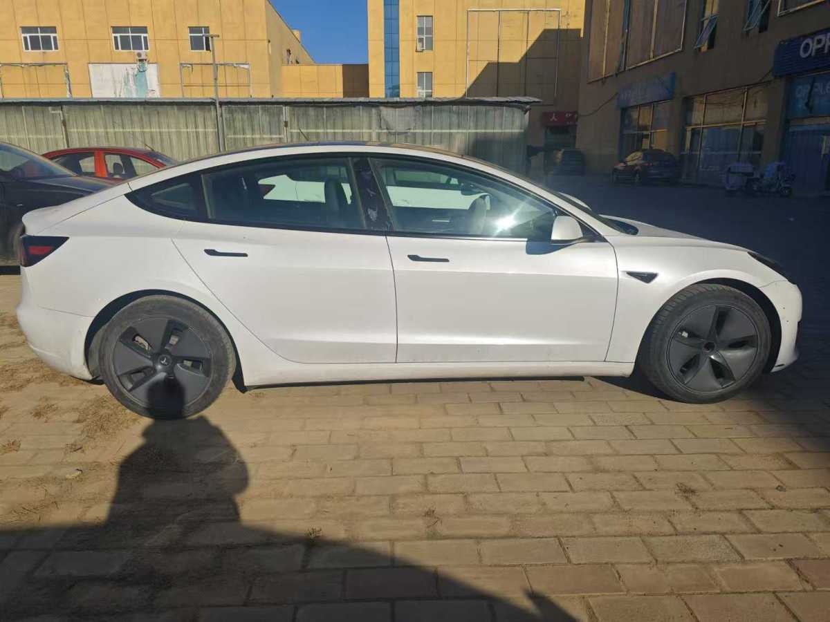 特斯拉 Model 3  2019款 標(biāo)準(zhǔn)續(xù)航后驅(qū)升級(jí)版圖片