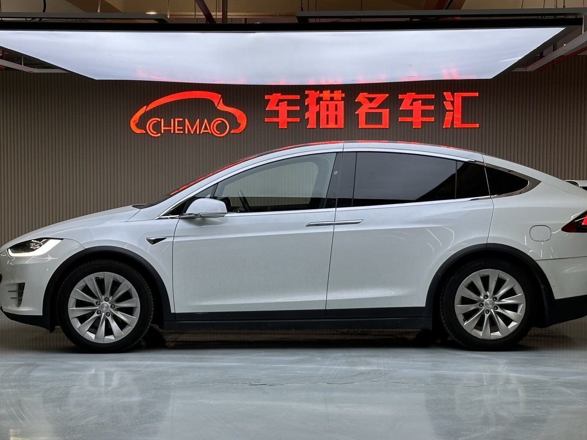 特斯拉 Model X  2019款 長(zhǎng)續(xù)航版圖片