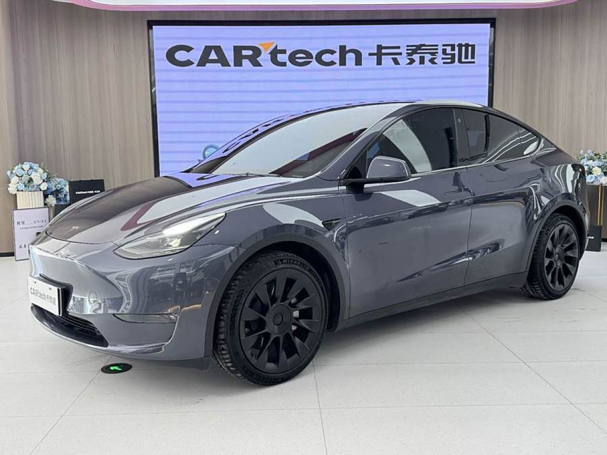 特斯拉 Model Y  2021款 改款二 長續(xù)航全輪驅(qū)動版圖片