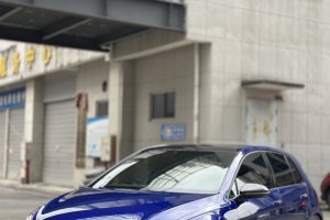 高尔夫 大众 2.0TSI R