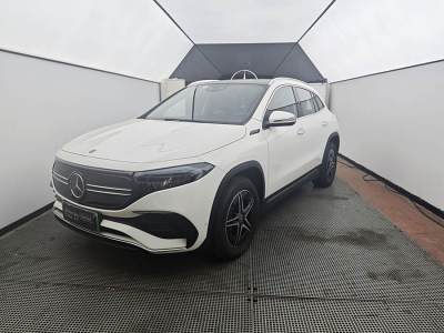 2022年1月 奔馳 奔馳EQA EQA 300 4MATIC 首發(fā)特別版圖片