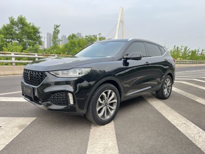 2019年3月 WEY VV6 2.0T 兩驅(qū)超豪型 國VI圖片