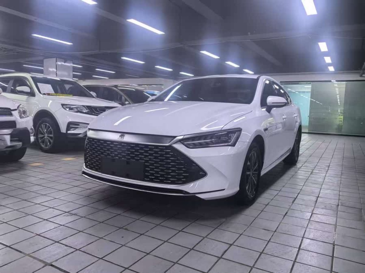 比亞迪 秦PLUS  2023款 冠軍版 DM-i 55KM超越型圖片