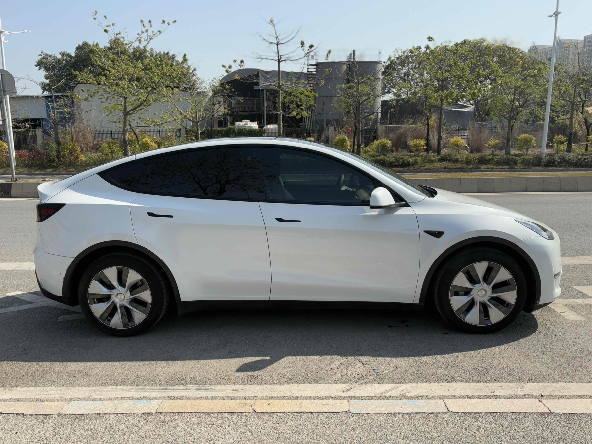 特斯拉 Model 3  2021款 改款 標(biāo)準(zhǔn)續(xù)航后驅(qū)升級(jí)版圖片