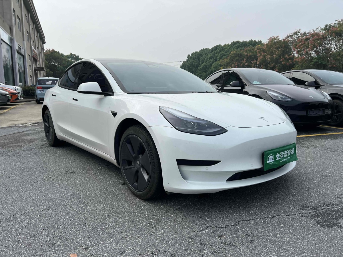 特斯拉 Model 3  2022款 改款 后輪驅(qū)動(dòng)版圖片