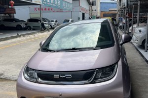 海豚 比亞迪 405km 時(shí)尚版