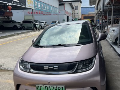 2022年10月 比亞迪 海豚 405km 時(shí)尚版圖片