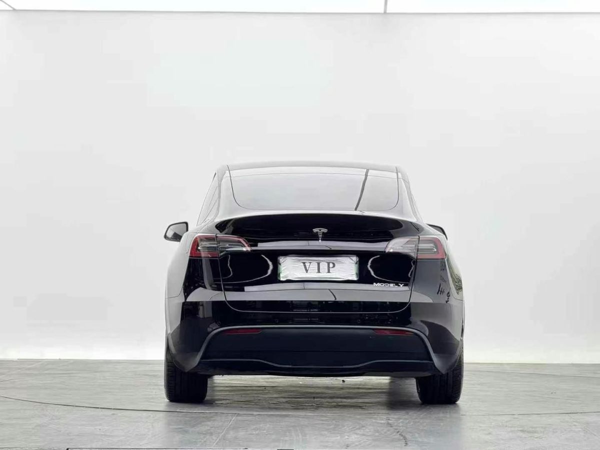 特斯拉 Model Y  2022款 Performance高性能全輪驅(qū)動(dòng)版圖片