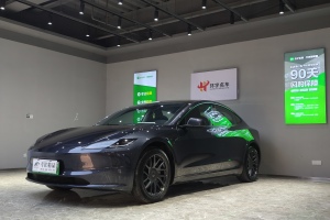 Model 3 特斯拉 后轮驱动版