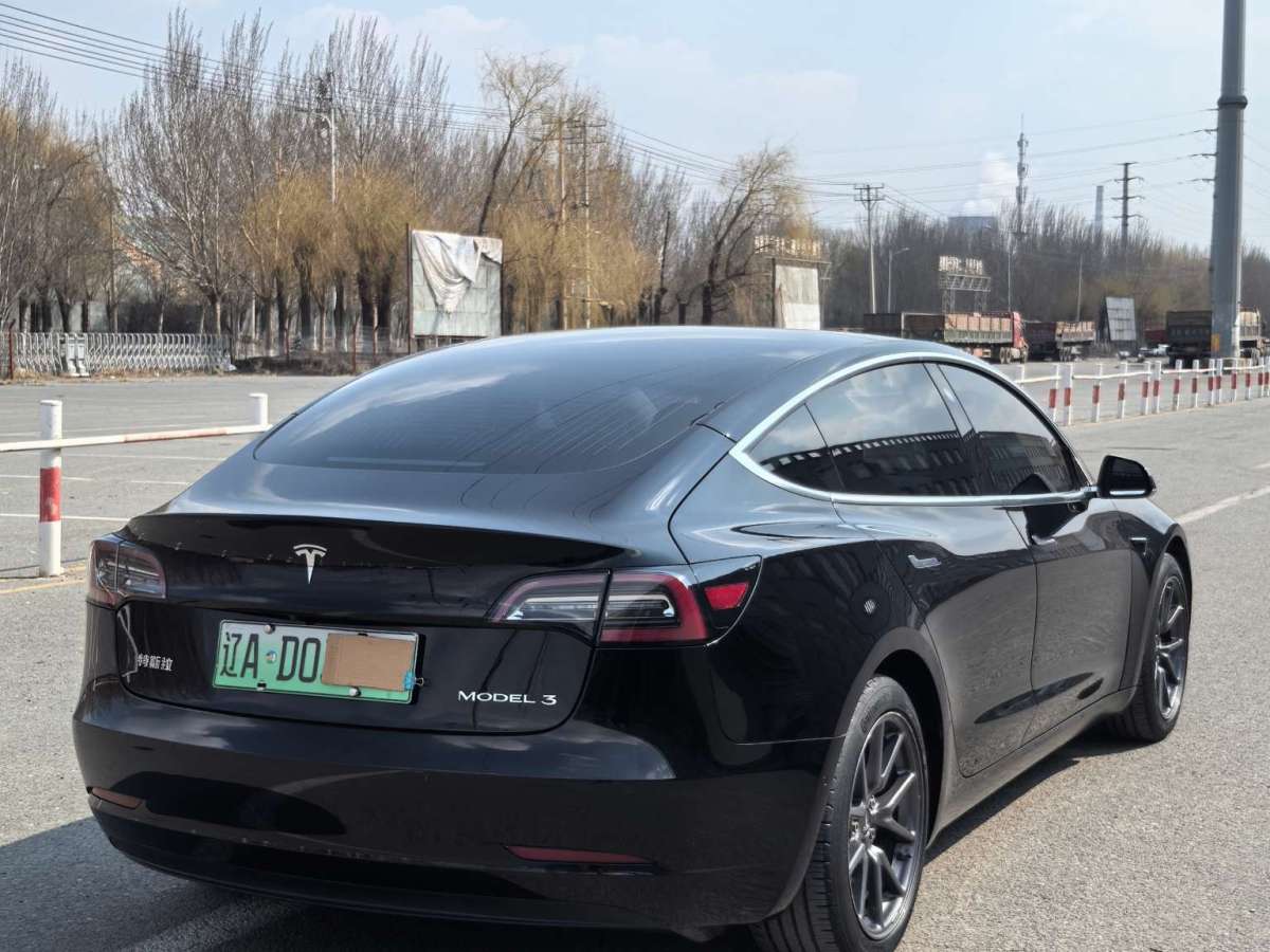 2020年6月特斯拉 Model 3  2020款 標(biāo)準(zhǔn)續(xù)航后驅(qū)升級(jí)版