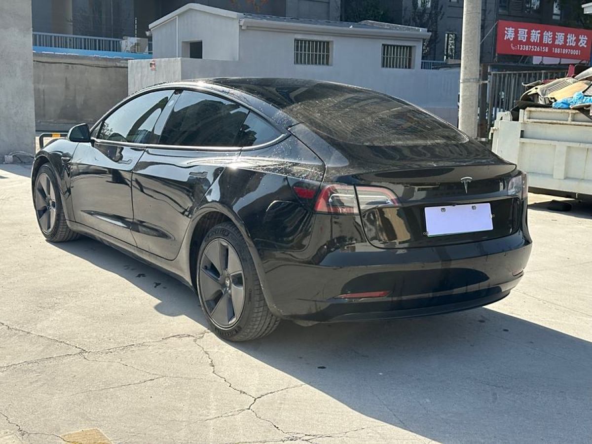 特斯拉 Model 3  2021款 標(biāo)準(zhǔn)續(xù)航后驅(qū)升級(jí)版 3D6圖片