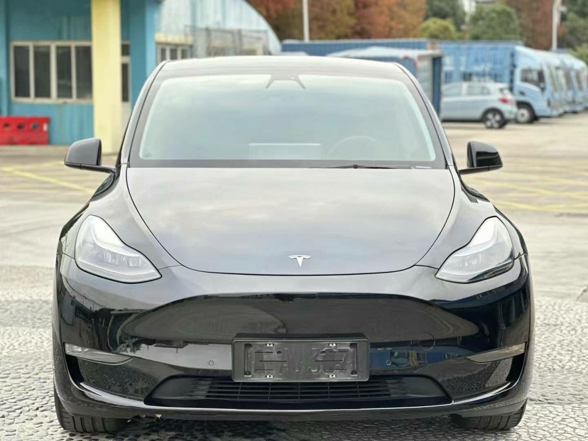 特斯拉 Model 3  2022款 Performance高性能全輪驅(qū)動(dòng)版圖片